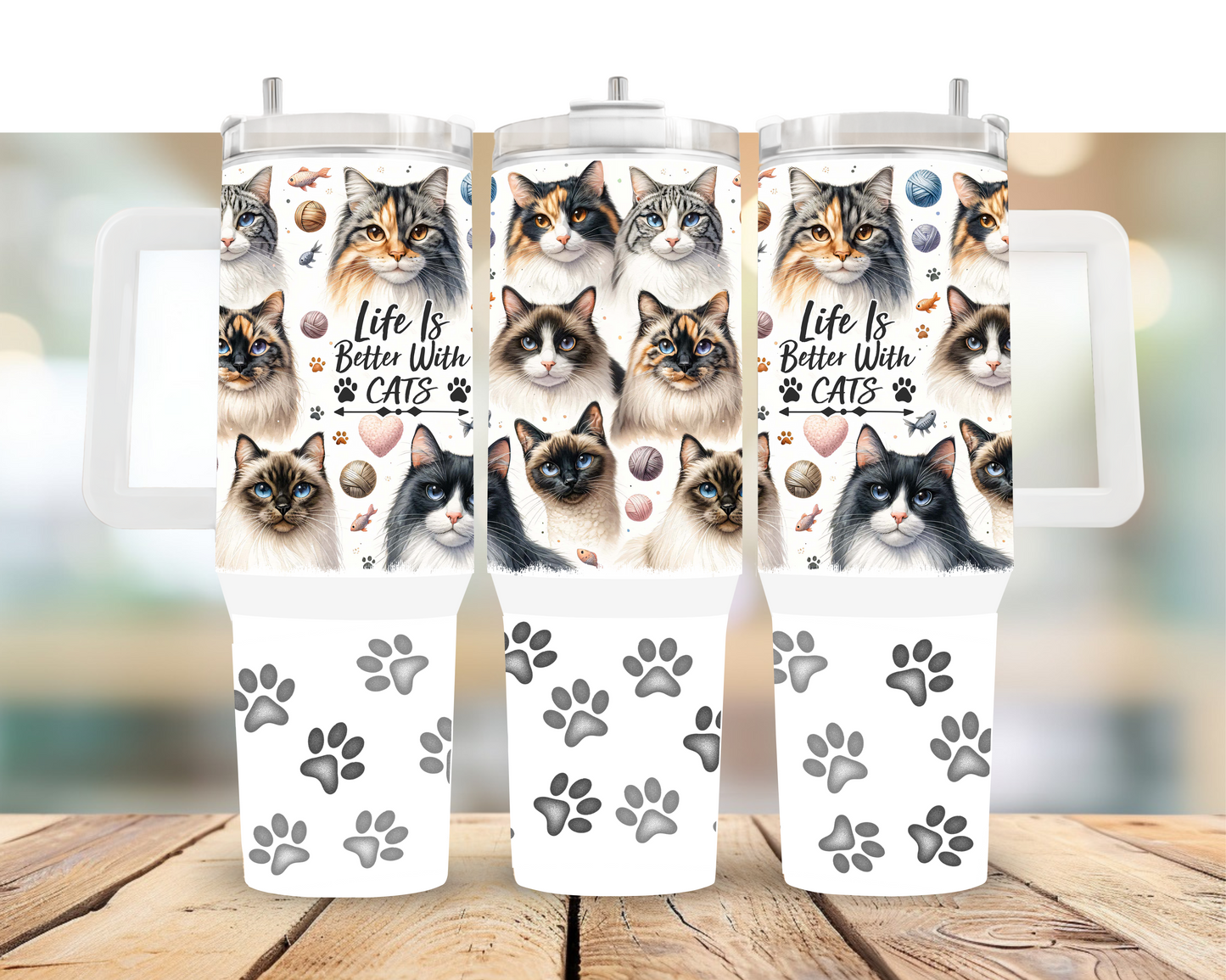 Cat Lover
