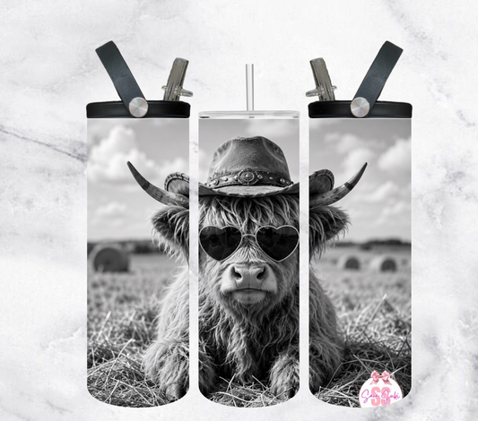 Hyland cow 2