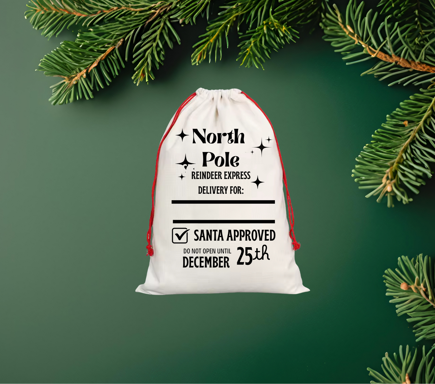 Santa Sack